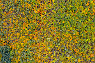 Similar image 21441151