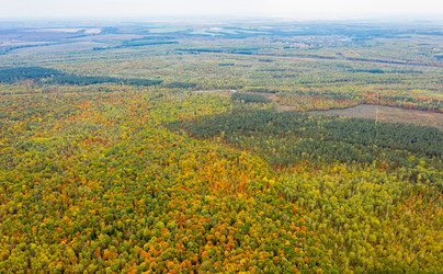 Similar image 21441152