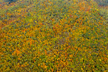 Similar image 21441155