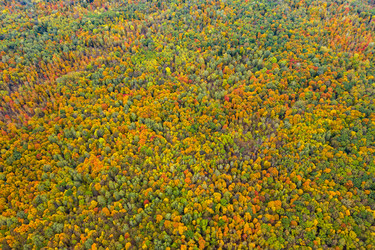 Similar image 21441156