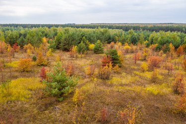 Similar image 21441159