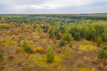 Similar image 21441160