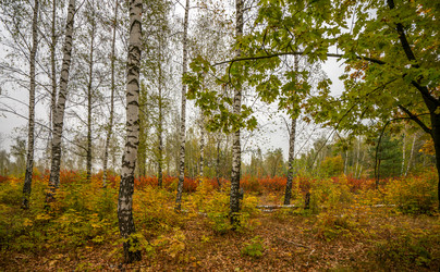 Similar image 21441161