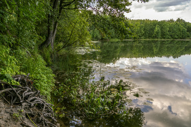 Similar image 21441162