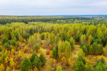 Similar image 21441163