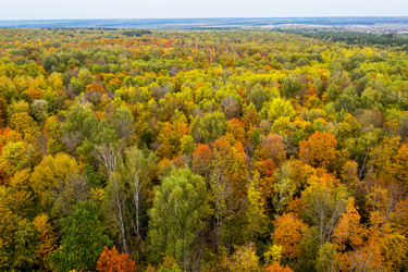 Similar image 21441164