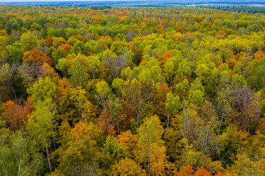 Similar image 21441167