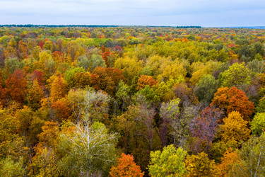 Similar image 21441168