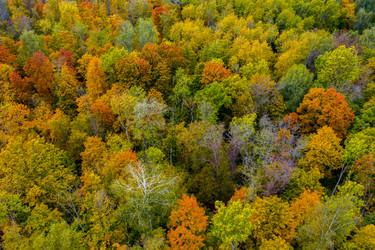 Similar image 21441171