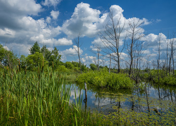 Similar image 21441339