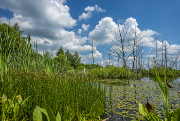 Similar image 21441340