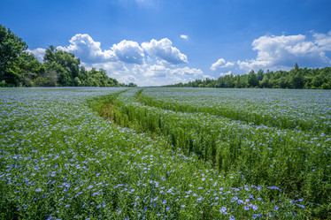 Similar image 21441348