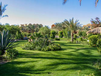 Similar image 21441349