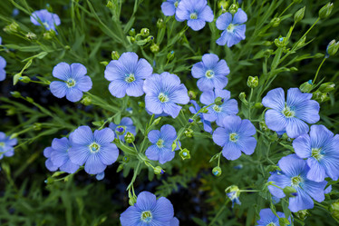 Similar image 21441351