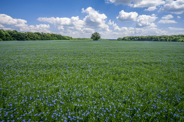 Similar image 21441352