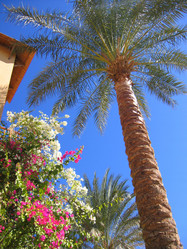 Similar image 21441353