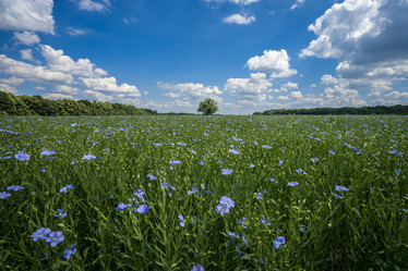 Similar image 21441355