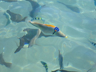 Similar image 21441360