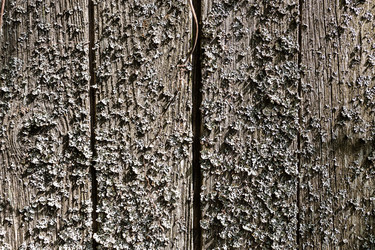 Similar image 21437877