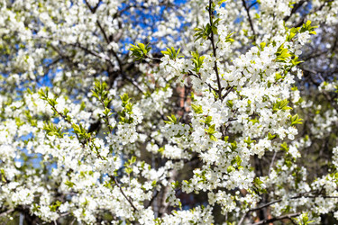 Similar image 21437878