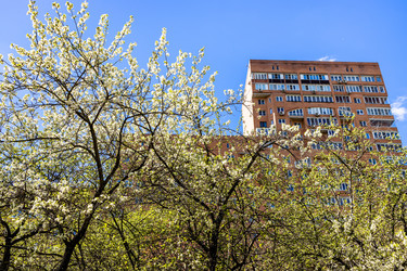 Similar image 21437892