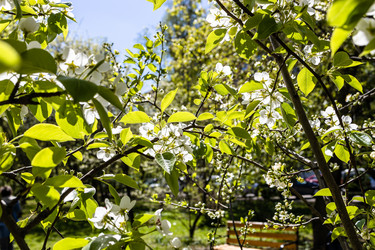 Similar image 21437894