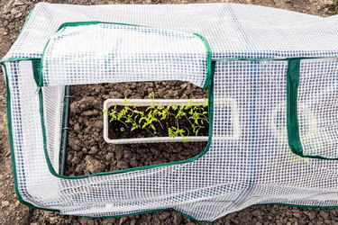 Similar image 21437918