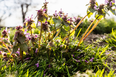 Similar image 21437924