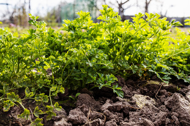 Similar image 21437926