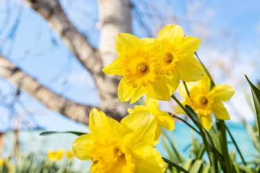 Similar image 21437928