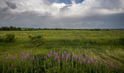 Similar image 21441540