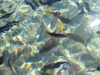 Similar image 21441542