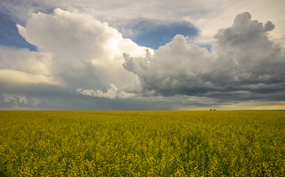 Similar image 21441544