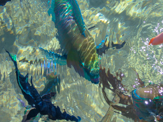 Similar image 21441546