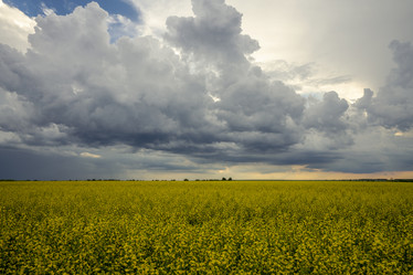 Similar image 21441548