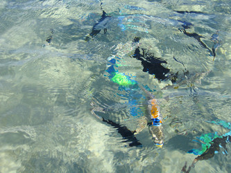 Similar image 21441550