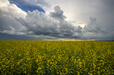 Similar image 21441553