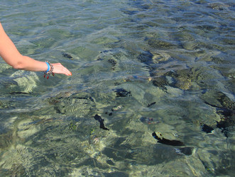 Similar image 21441554