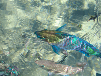 Similar image 21441558