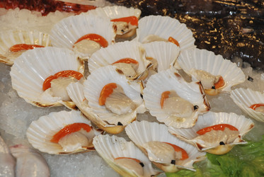 Similar image 21441559