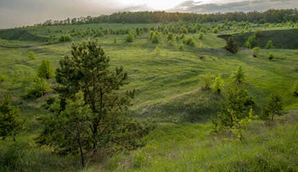 Similar image 21441760