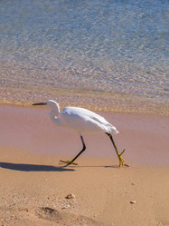 Similar image 21441773