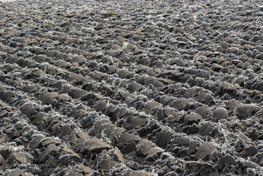 Similar image 21441775