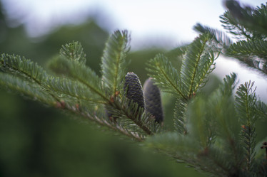 Similar image 21441776