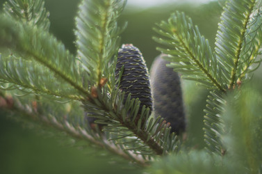 Similar image 21441954