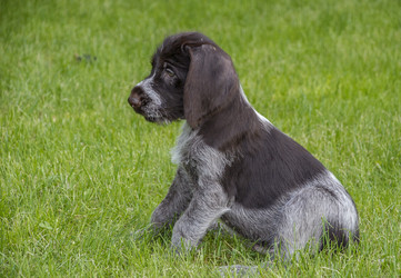 Similar image 21441955