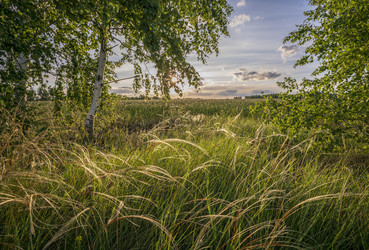 Similar image 21441959