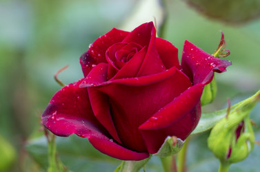 Similar image 21441964