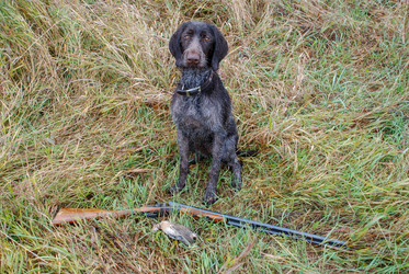 Similar image 21441967