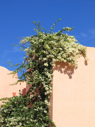 Similar image 21441973